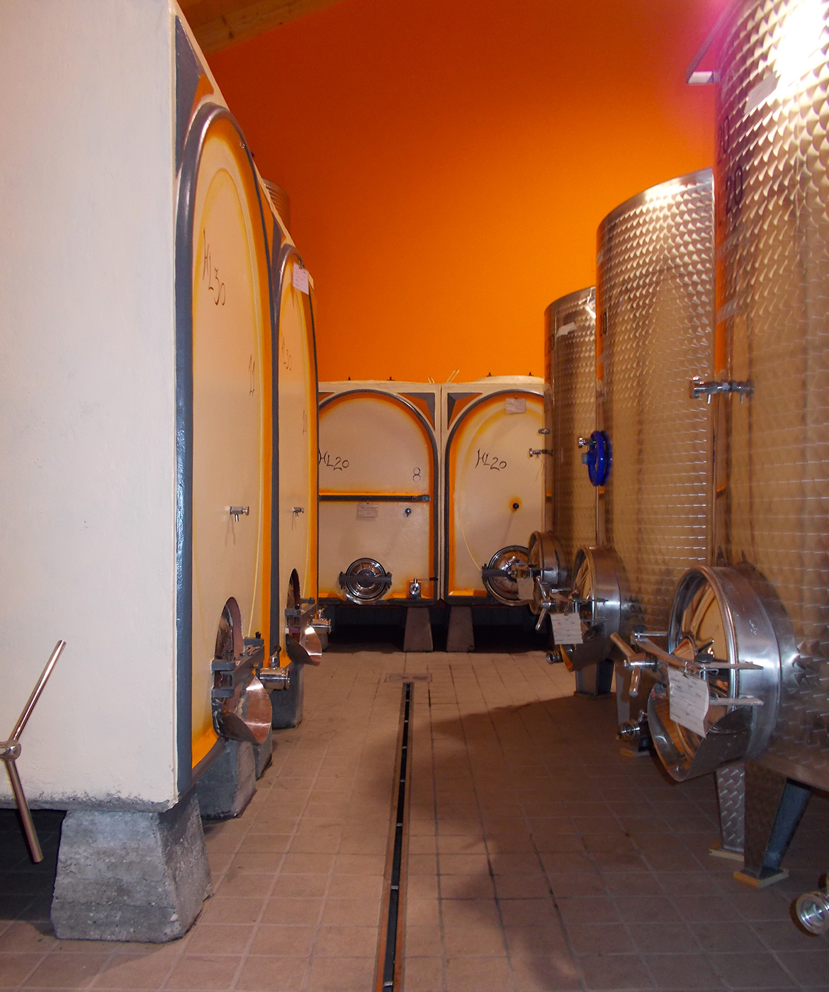 Cantina Azienda Agricola Fausto Ghenda Marano Degustazioni