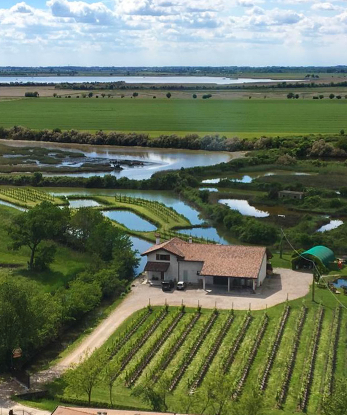 azienda agricola fausto ghenda marano udine